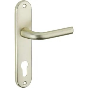 POIGNÉE VACHETTE  CHAMPAGNEMONDIAL 165mm