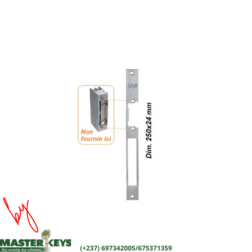 GACHE ELECTRIQUE VACHETTE