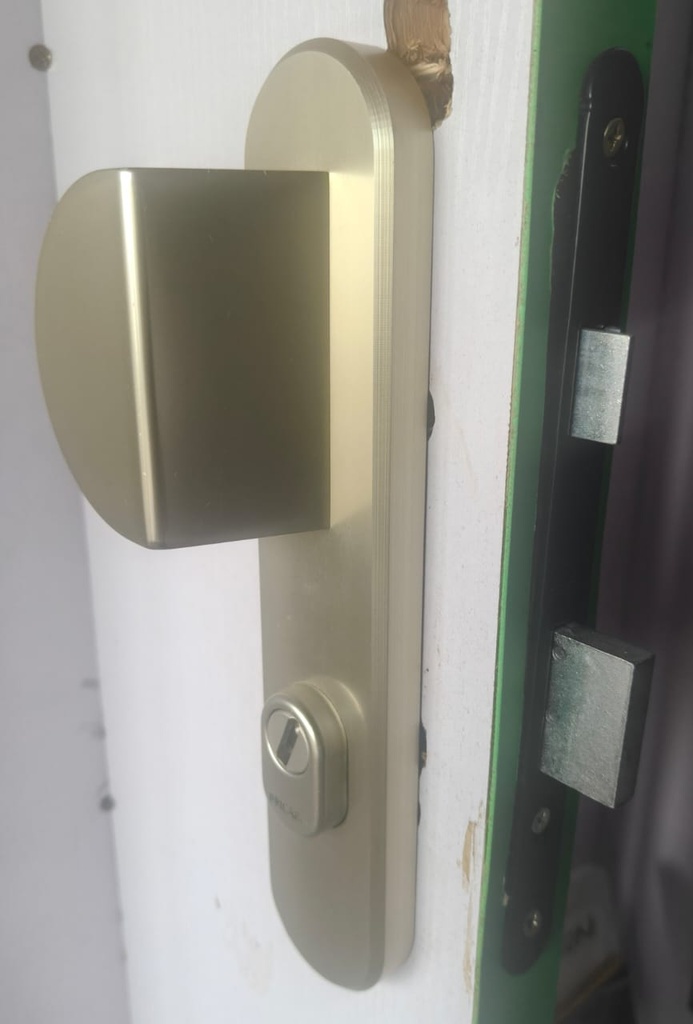 ENS POIGNEE PALIERE BLINDE BRICARD OSMOSE CHAMPAGNE