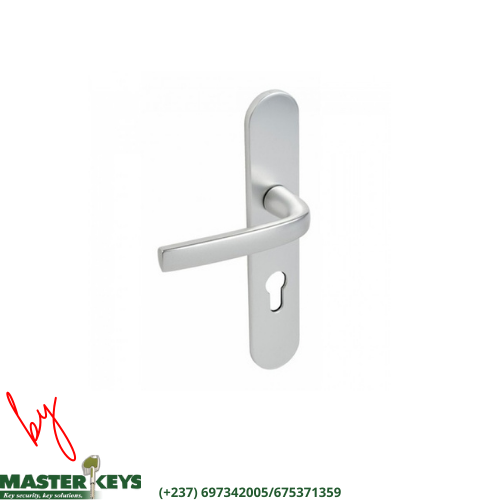 POIGNEE VACHETTE LOGIO ARGENT