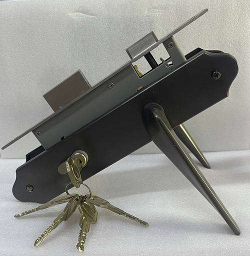 ENS PGNE SecuMAX ZAMAK Z6-33Z153