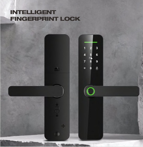 SERRURE SMARTLOCK(INTELLIGENT  FINGERPRINT LOCK) A261